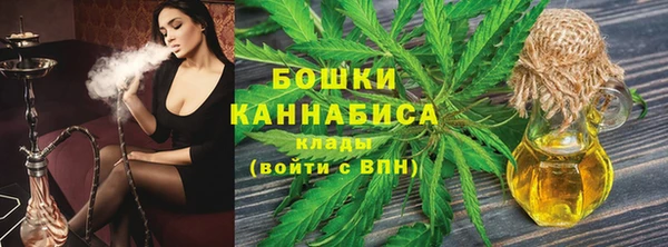 гашик Нея