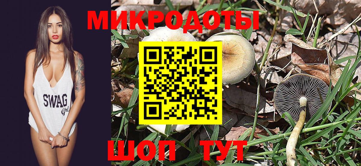 Галлюциногенные грибы Psilocybine cubensis  Краснознаменск  Псилоцибиновые грибы Psilocybine cubensis 